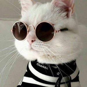 Meet your Posher, Raynelle